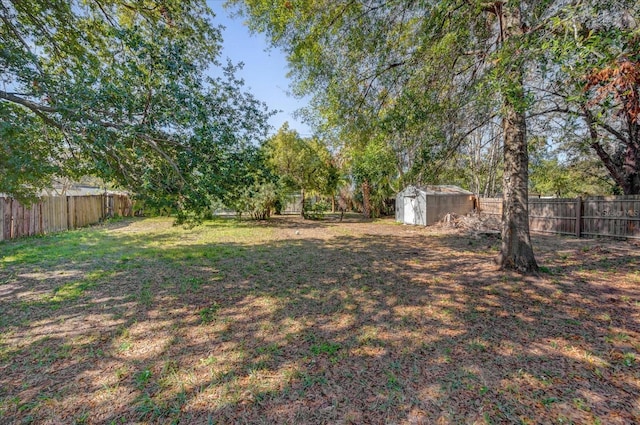 view of yard with a storage unit