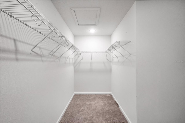 332 Bow Ln, Haines City, FL 33844 - spacious closet featuring attic access and carpet flooring