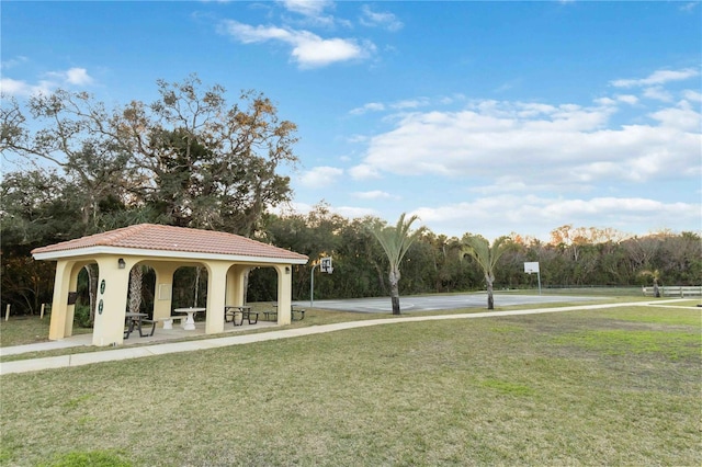 view of community with a lawn