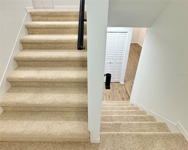 staircase featuring wood-type flooring