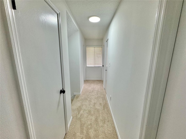 hall featuring light colored carpet and a textured ceiling