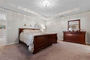 bedroom featuring carpet and a tray ceiling