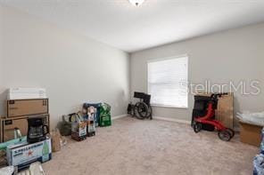 living area featuring carpet flooring