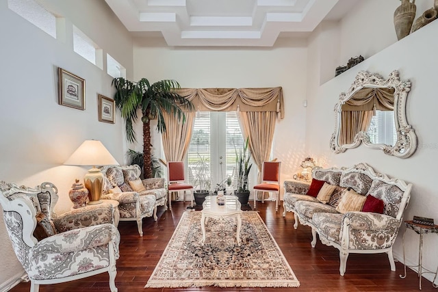 living area with dark hardwood / wood-style floors and a towering ceiling