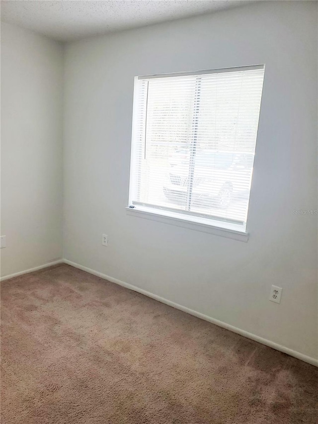 spare room with carpet and a textured ceiling