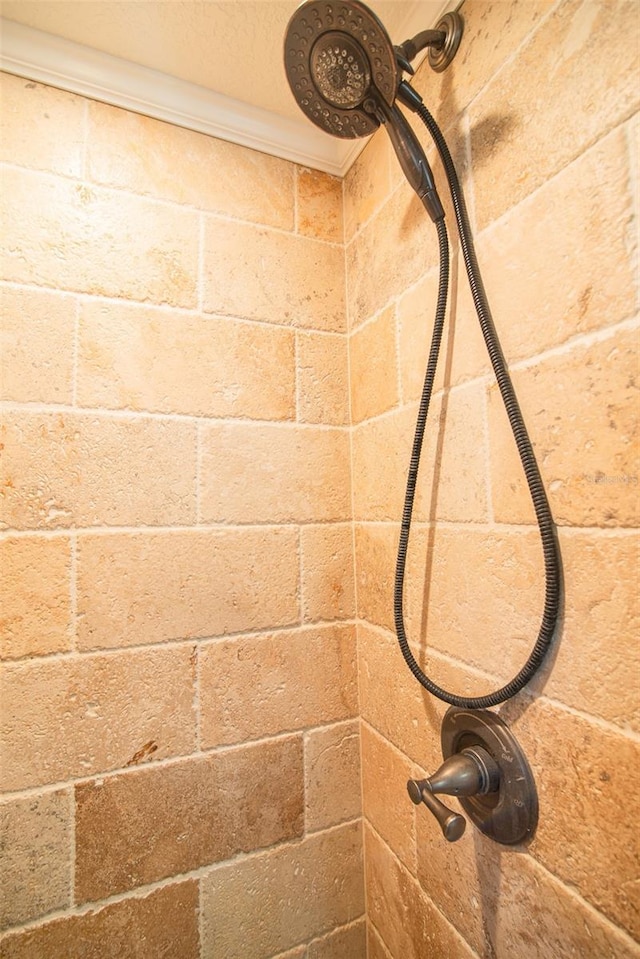 interior details featuring a tile shower