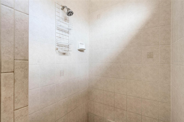 interior details featuring tiled shower