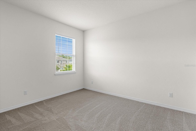 spare room featuring carpet floors and a textured ceiling