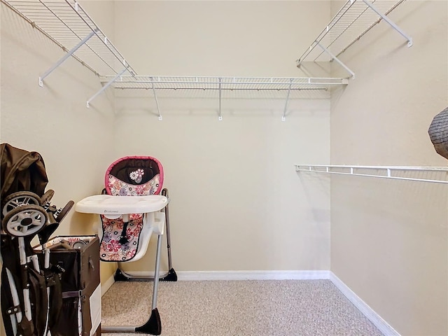 spacious closet with carpet