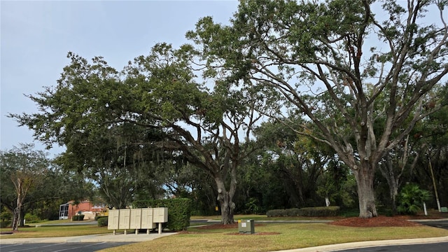 view of property's community with a yard and a mail area