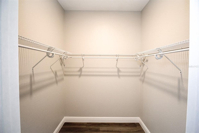 spacious closet with wood-type flooring