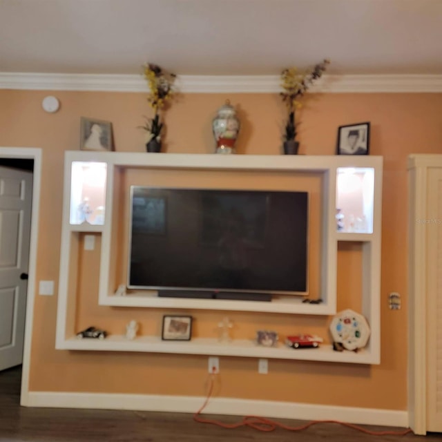 room details with ornamental molding and wood-type flooring