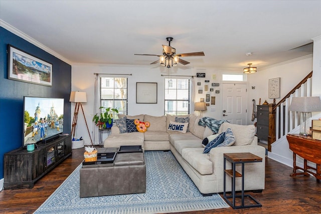 living room featuring crown molding, ceiling fan, and dark hardwood / wood-style flooring