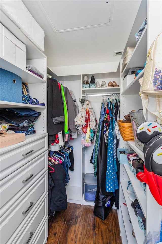 walk in closet featuring dark wood-type flooring