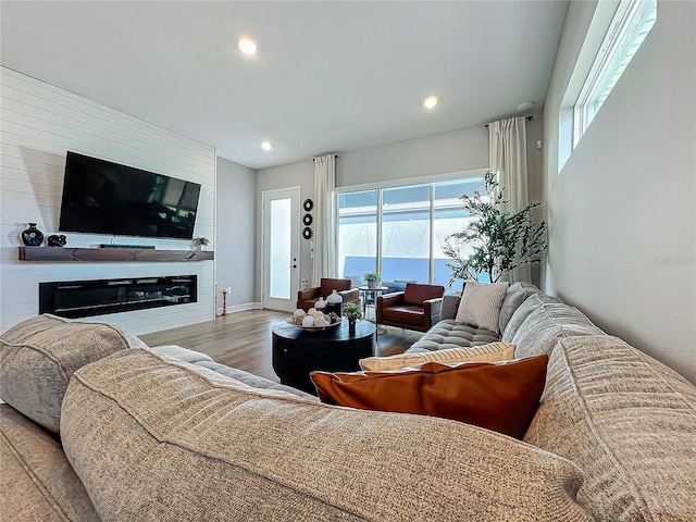 living room with hardwood / wood-style flooring and a fireplace