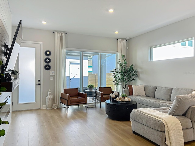 living room with light wood-type flooring