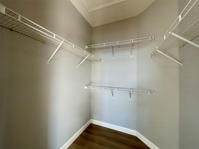 walk in closet featuring dark wood-type flooring