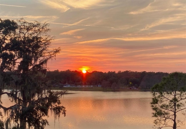 property view of water