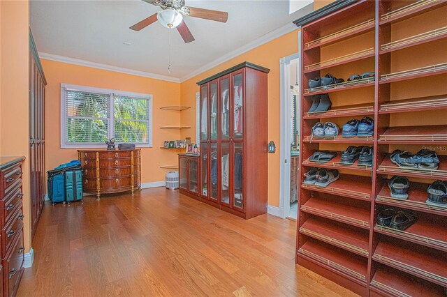 255 W George Ave, Maitland, FL 32751 - photo 19