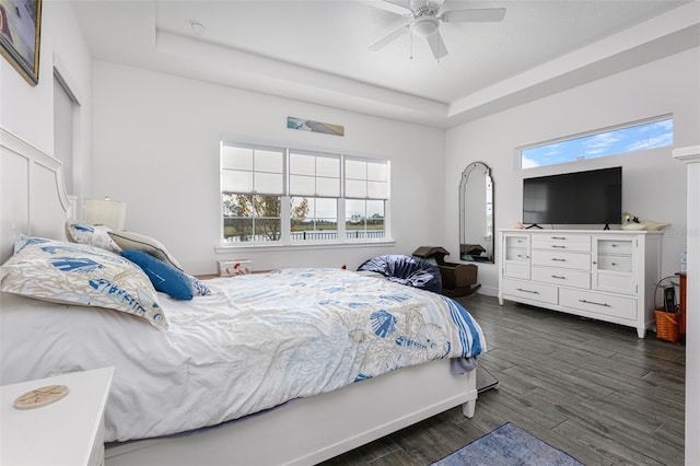 bedroom with ceiling fan, a tray ceiling, and dark hardwood / wood-style flooring