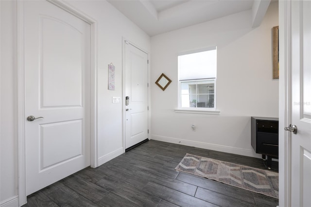 entryway featuring dark wood-type flooring