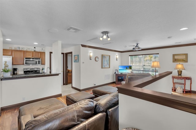 living room with crown molding, sink, light hardwood / wood-style floors, and a textured ceiling