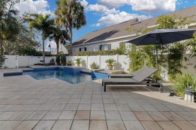 view of pool with a patio and an in ground hot tub