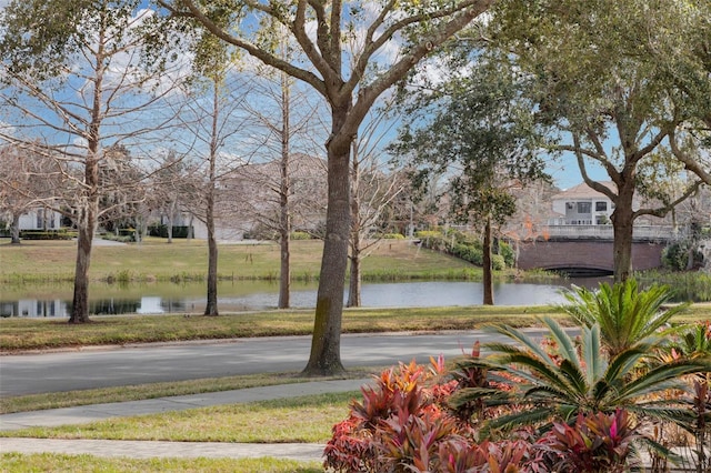 view of yard with a water view