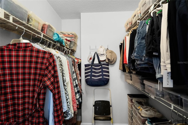 view of walk in closet