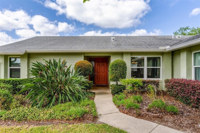 view of exterior entry with a shingled roof and stucco siding