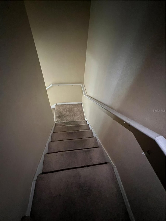 stairway featuring carpet floors