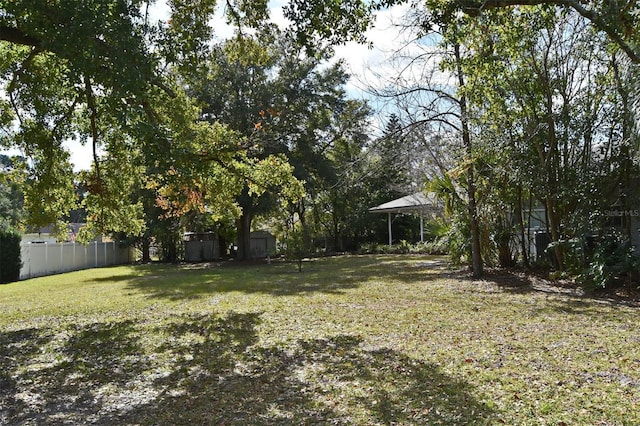 view of yard featuring a storage unit