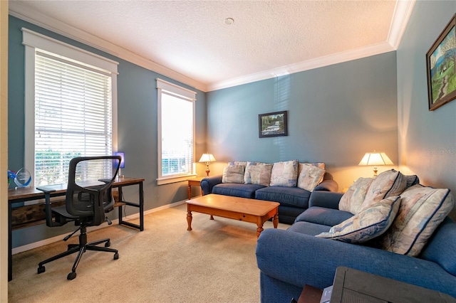 living room featuring carpet, crown molding, a textured ceiling, and baseboards