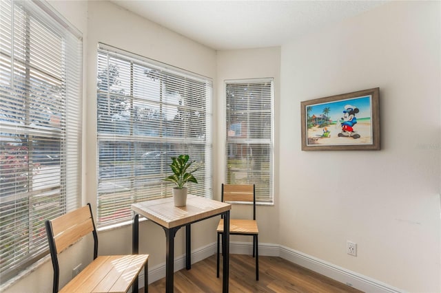 dining room with hardwood / wood-style flooring and a healthy amount of sunlight