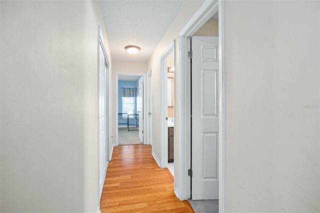 hallway featuring a textured ceiling and light hardwood / wood-style flooring