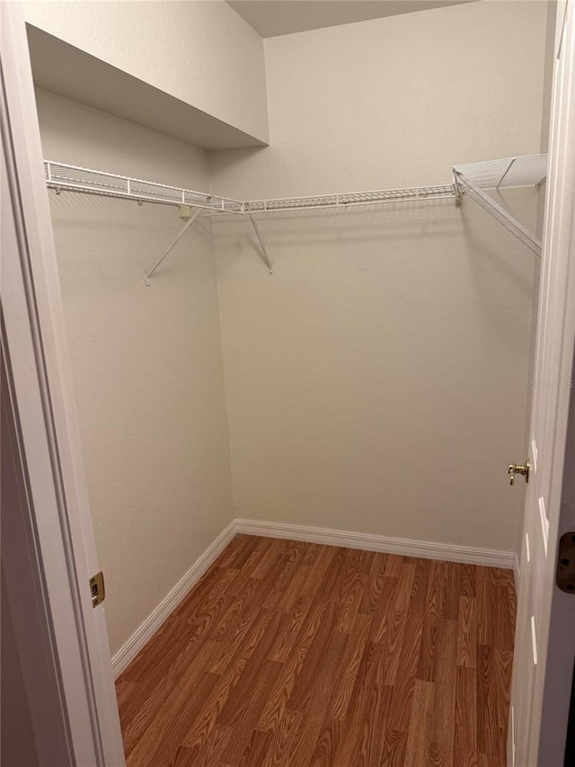 walk in closet featuring wood-type flooring