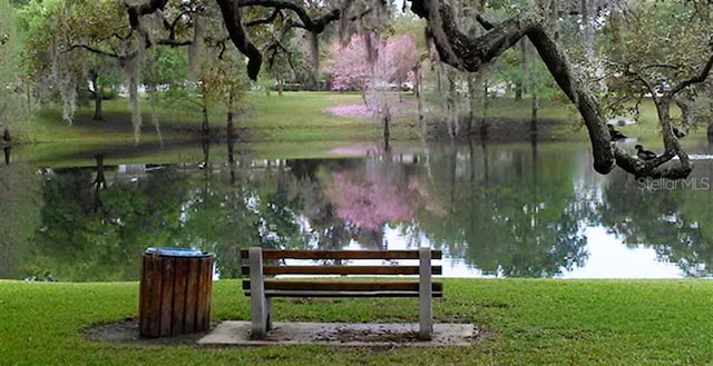 view of property's community with a water view and a yard