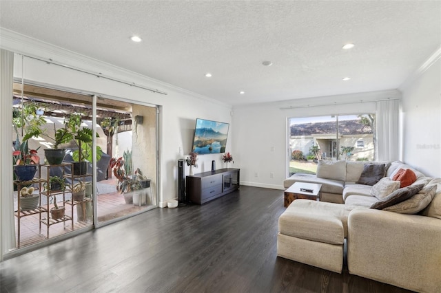 living room with ornamental molding, dark wood-type flooring, and a textured ceiling