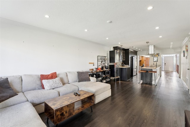 living room featuring dark wood-type flooring