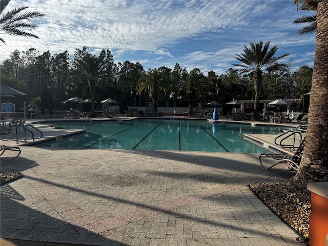 view of pool featuring a patio area