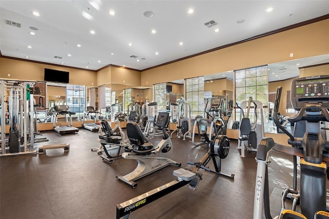 workout area with ornamental molding and a wealth of natural light