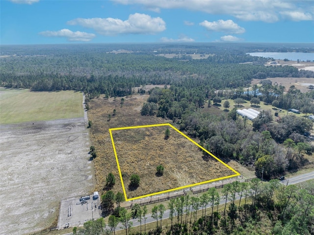 20700 Wiygul Rd, Umatilla FL, 32784 land for sale