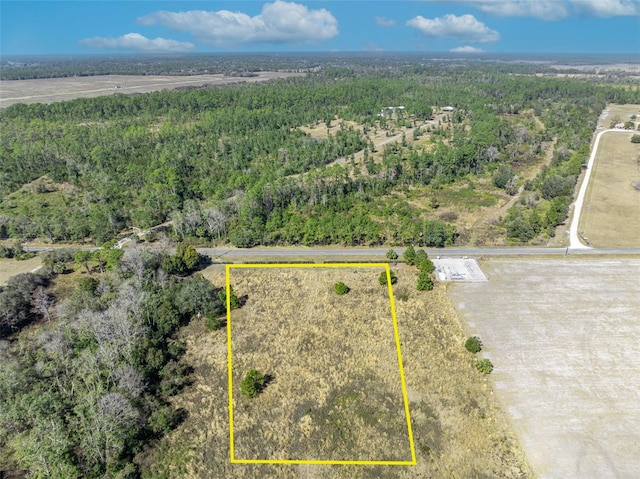 Listing photo 3 for 20700 Wiygul Rd, Umatilla FL 32784