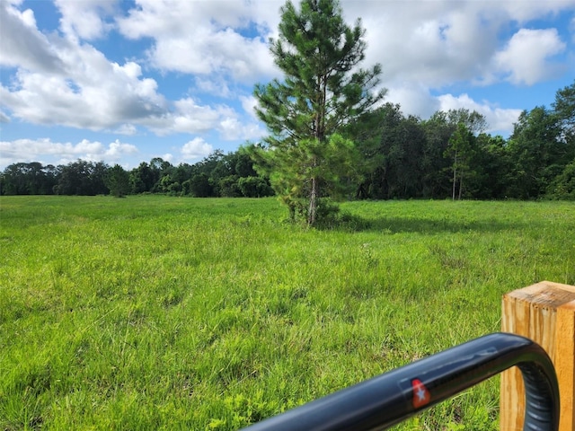20700 Wiygul Rd, Umatilla, FL 32784 - photo 6