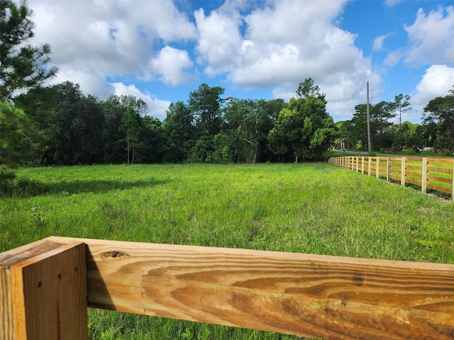 20700 Wiygul Rd, Umatilla, FL 32784 - photo 11