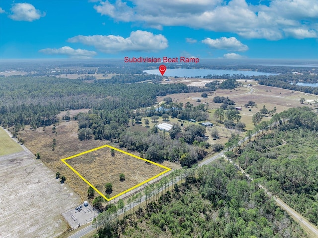 20700 Wiygul Rd, Umatilla, FL 32784 - photo 1
