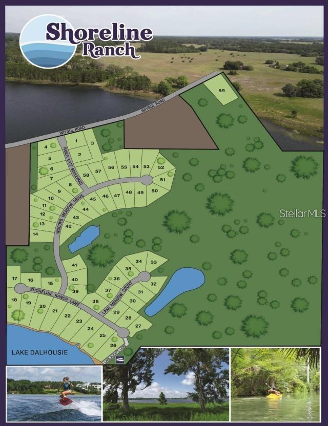 20700 Wiygul Rd, Umatilla, FL 32784 - photo 3