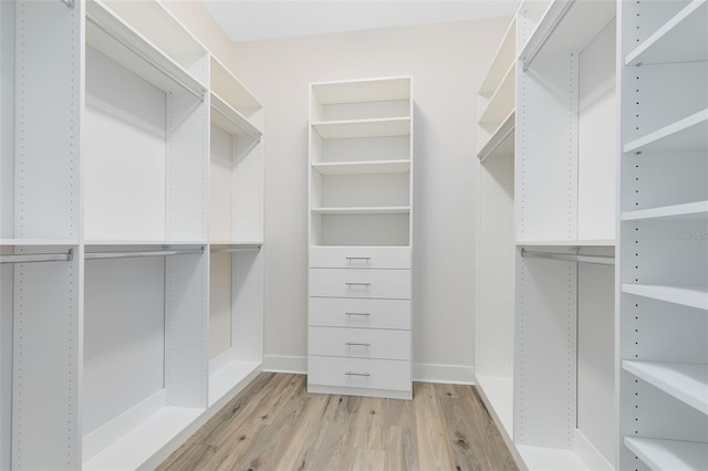 spacious closet featuring light wood-style floors