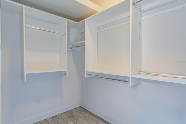 spacious closet featuring light hardwood / wood-style floors