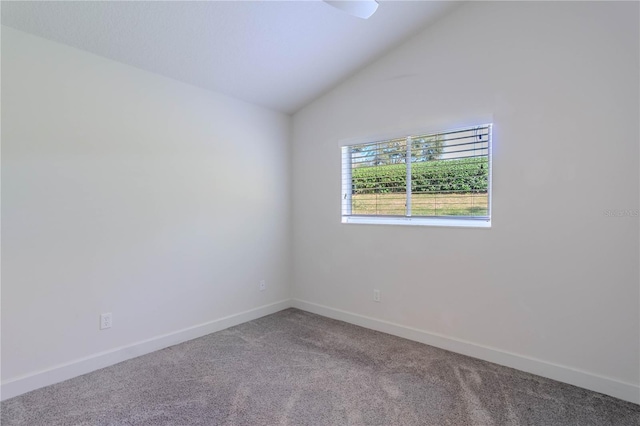 empty room featuring vaulted ceiling and carpet